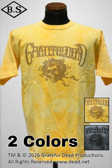 CHAMPION / チャンピオン CHAMPION Tシャツ C5-D308 ティーテン