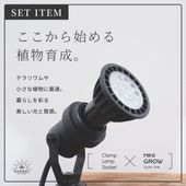 AMATERAS kumanomi 360 LED おまけ付き 天照大御神 AMATERAS LED | ヤドク＆パルダリウ部