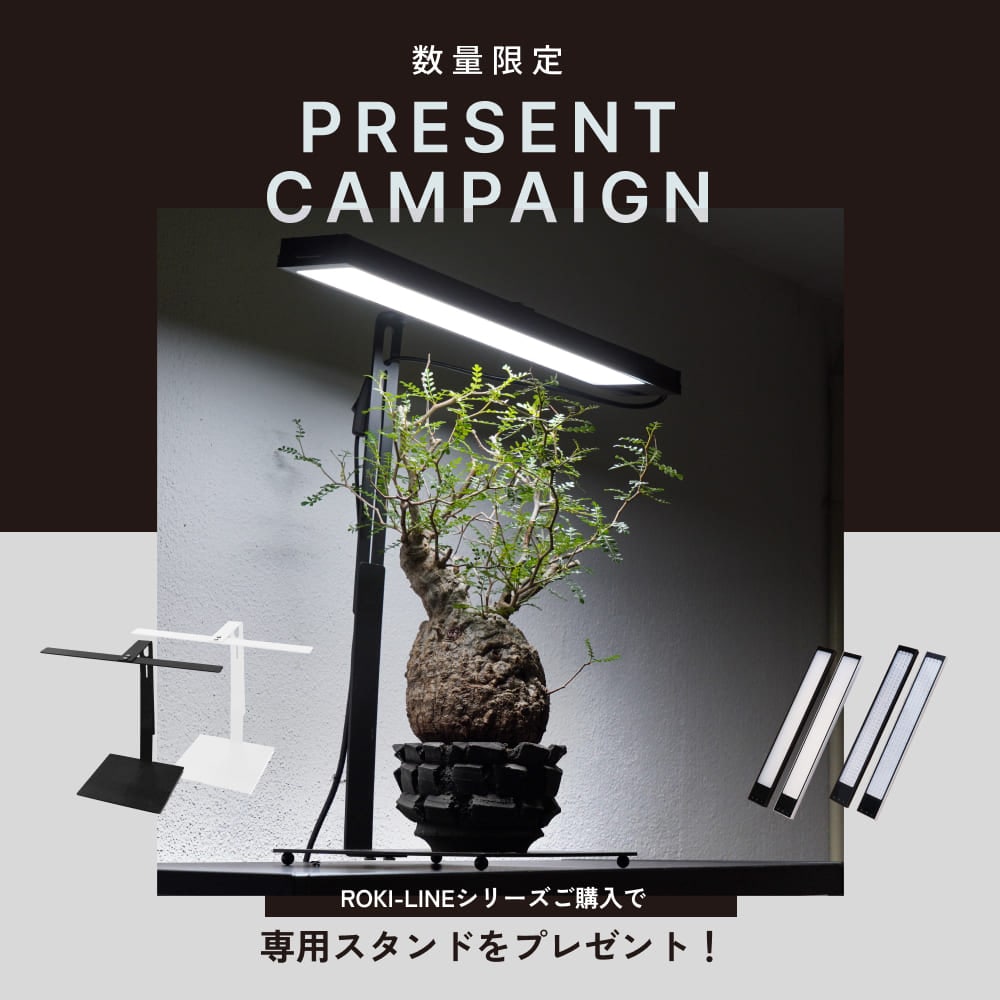 育成ライト | 植物育成ライト専門店BARREL公式サイト