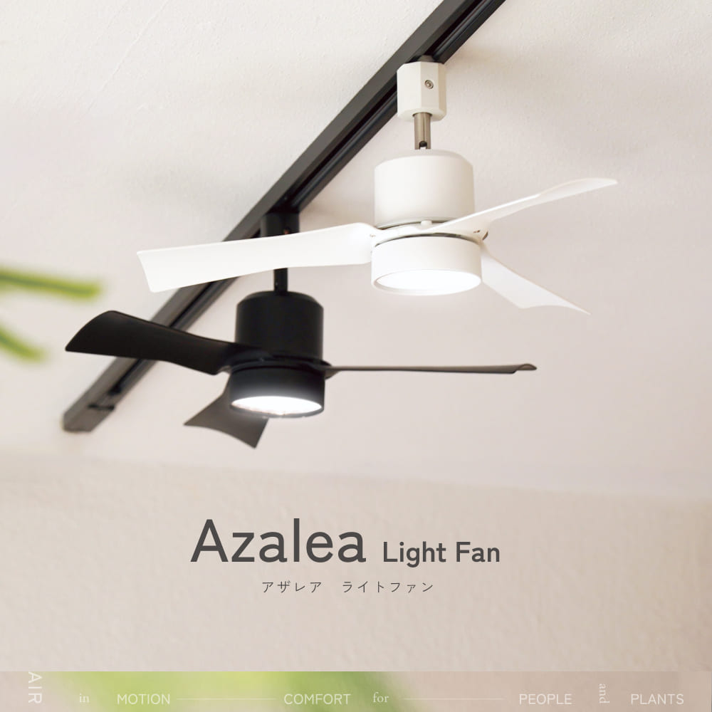 ��Azalea light fan�ۥ饤�ȥե���ð����饤���դ��������å졼�����դ�