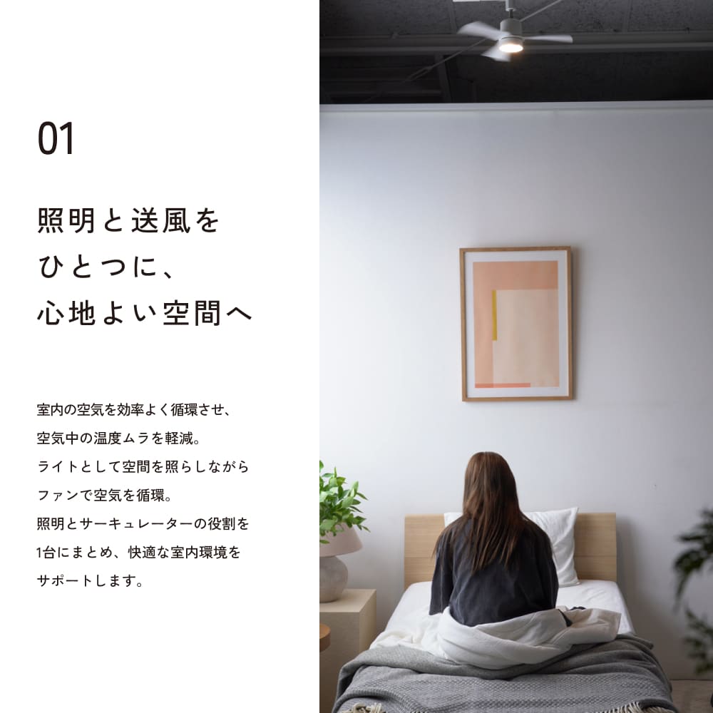 ��Azalea light fan�ۥ饤�ȥե���ð����饤���դ��������å졼�����դ�