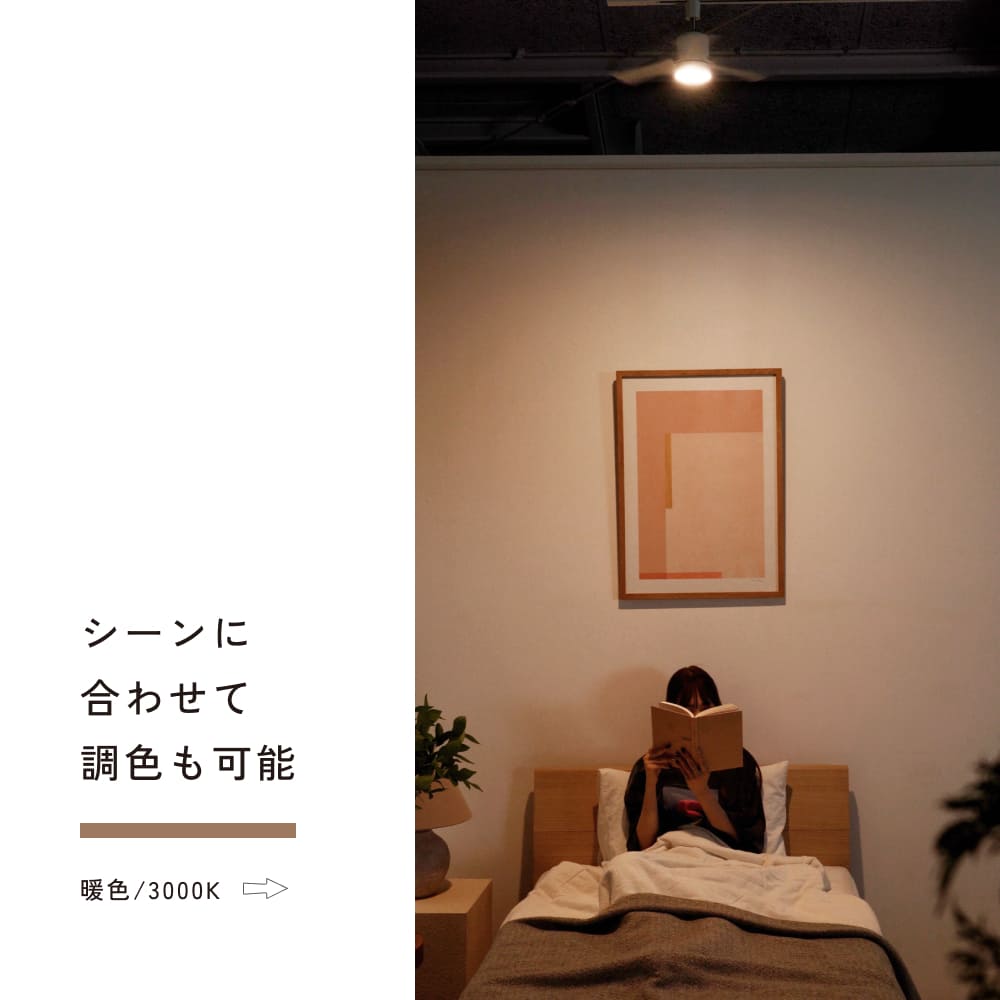 ��Azalea light fan�ۥ饤�ȥե���ð����饤���դ��������å졼�����դ�
