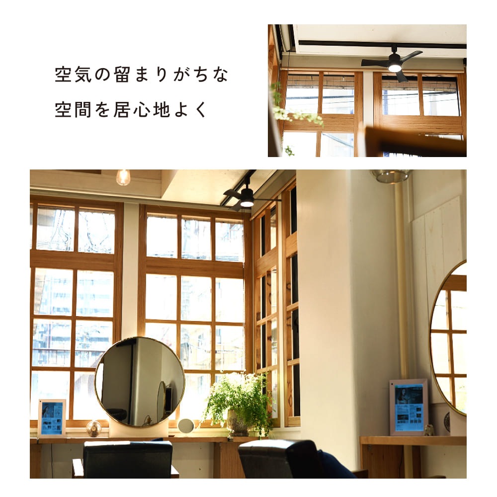 ��Azalea light fan�ۥ饤�ȥե���ð����饤���դ��������å졼�����դ�