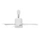 ��Azalea light fan�ۥ饤�ȥե���ð����饤���դ��������å졼�����դ�