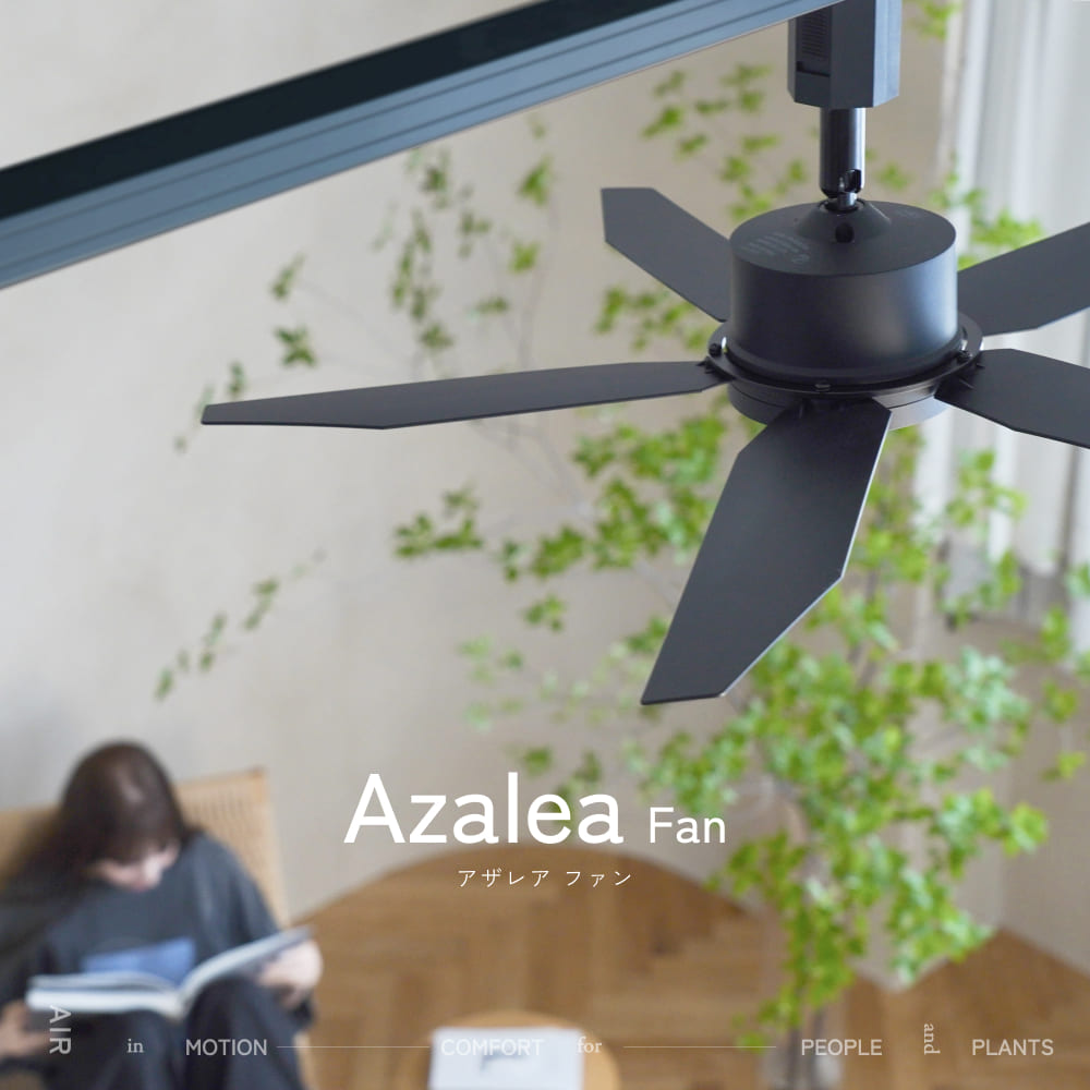 ��Azalea fan�ۥե����5�籩��������(�饤�Ȥʤ�)�å졼�����դ�