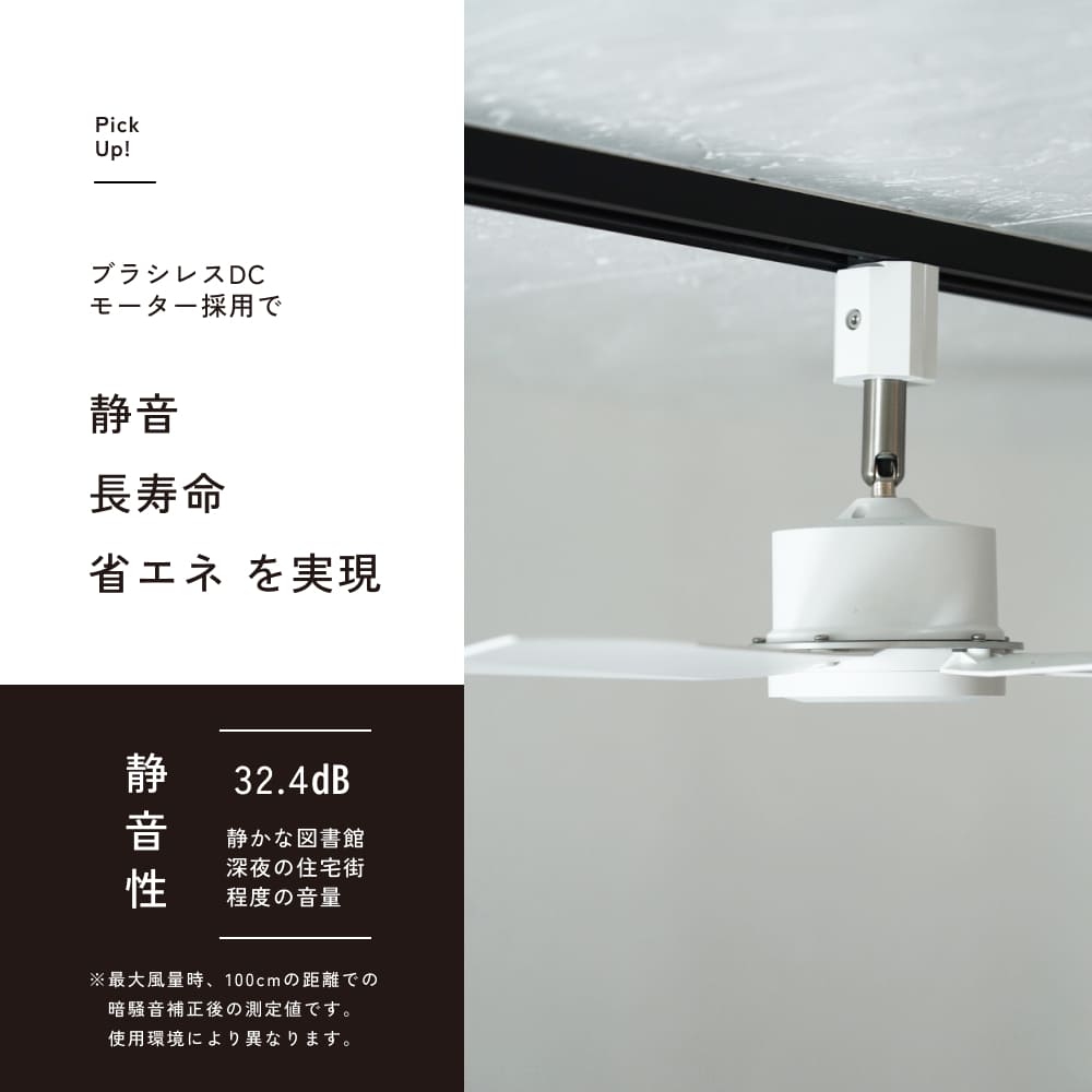 ��Azalea fan�ۥե����5�籩��������(�饤�Ȥʤ�)�å졼�����դ�