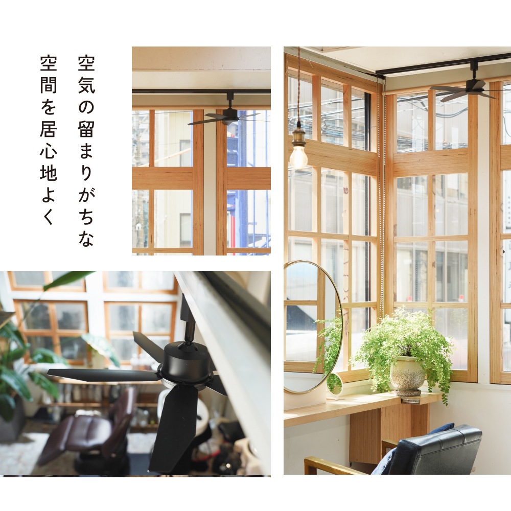 ��Azalea fan�ۥե����5�籩��������(�饤�Ȥʤ�)�å졼�����դ�