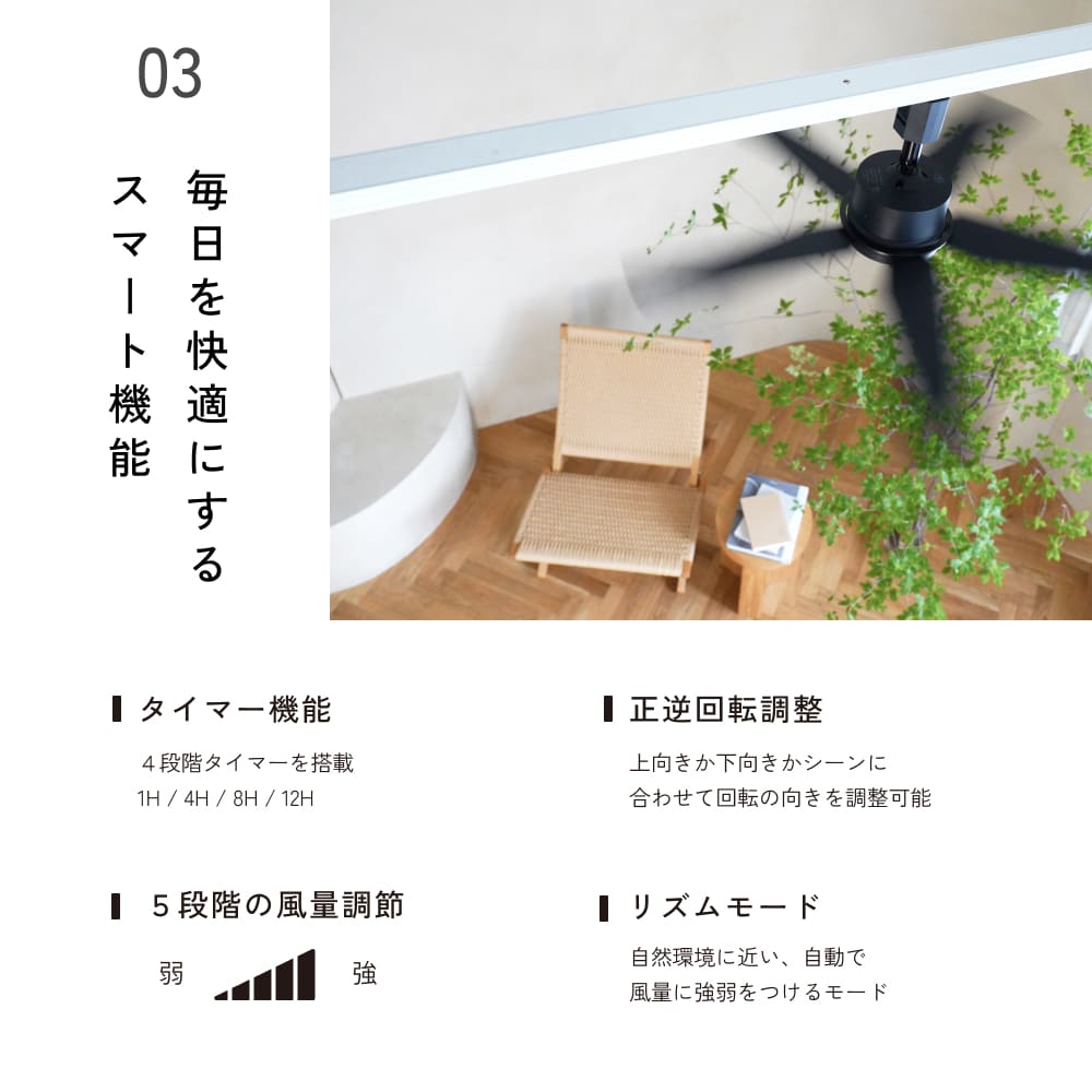 ��Azalea fan�ۥե����5�籩��������(�饤�Ȥʤ�)�å졼�����դ�