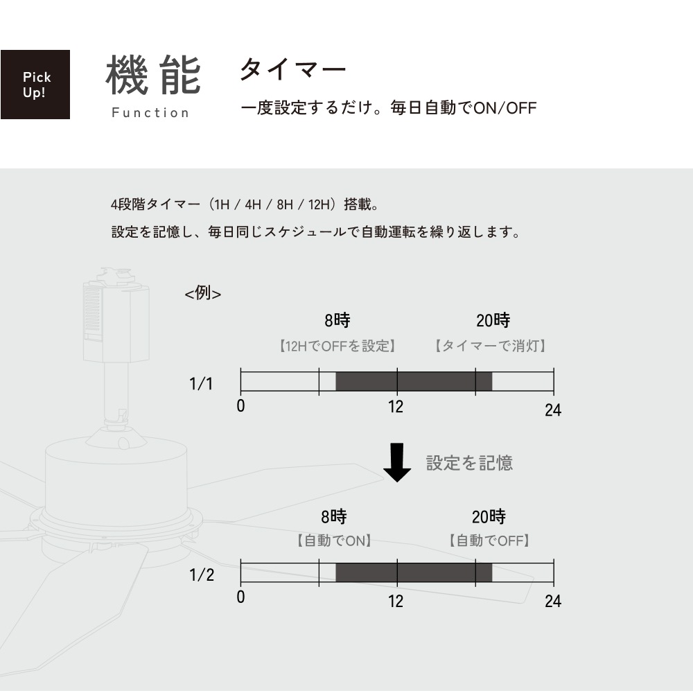 ��Azalea fan�ۥե����5�籩��������(�饤�Ȥʤ�)�å졼�����դ�