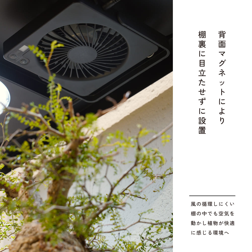 ��Aechmea Slim Link�ۡ������������åޥ��ͥå����֡â����ѥ����ץ�ɬ��