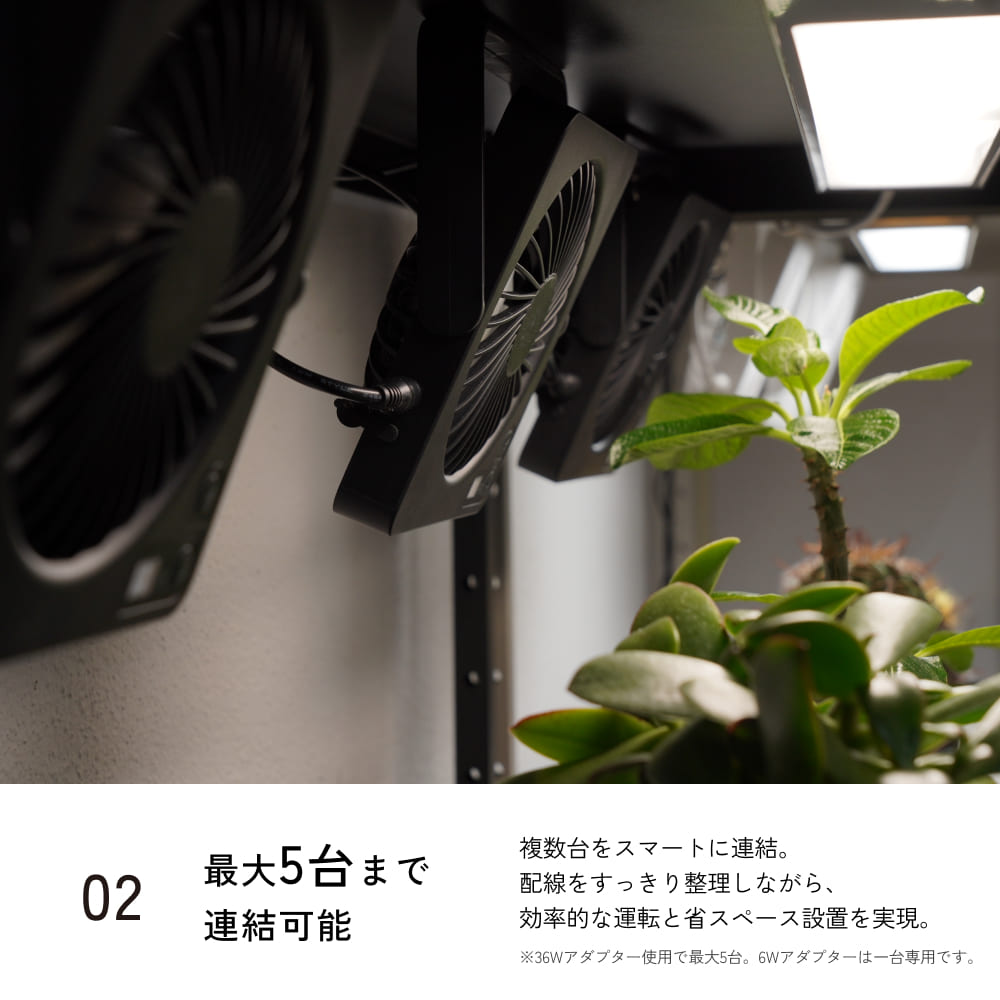 ��Aechmea Slim Link�ۡ������������åޥ��ͥå����֡â����ѥ����ץ�ɬ��