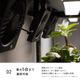 ��Aechmea Slim Link�ۡ������������åޥ��ͥå����֡â����ѥ����ץ�ɬ��