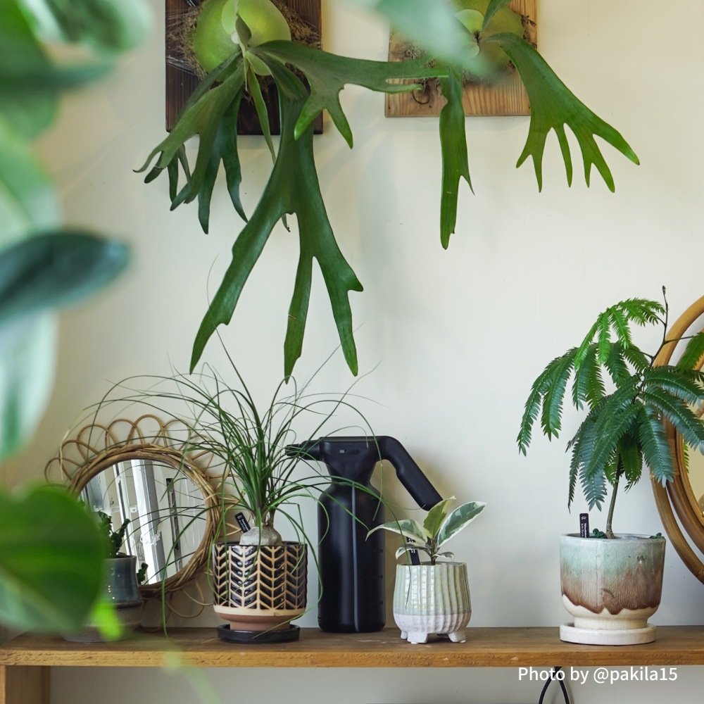 ��SPRAY-1000����ư���ץ졼�åΥ���2�� �Хåƥ꡼1200mA ���ż��ÿ����ڤ�����ñ��