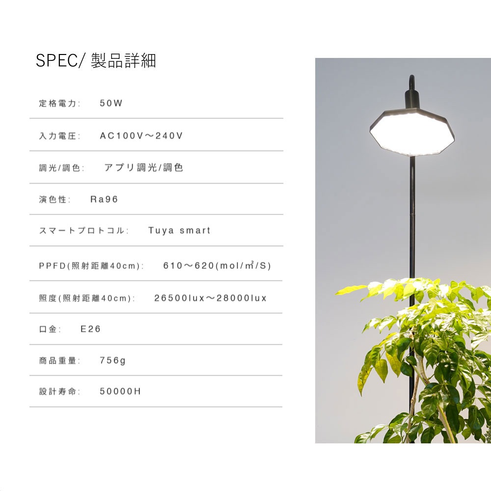 ROKI-Octagon-50Wۡʥ˿ʪ饤 ѥͥ뷿 ¿ǽ ץϢ