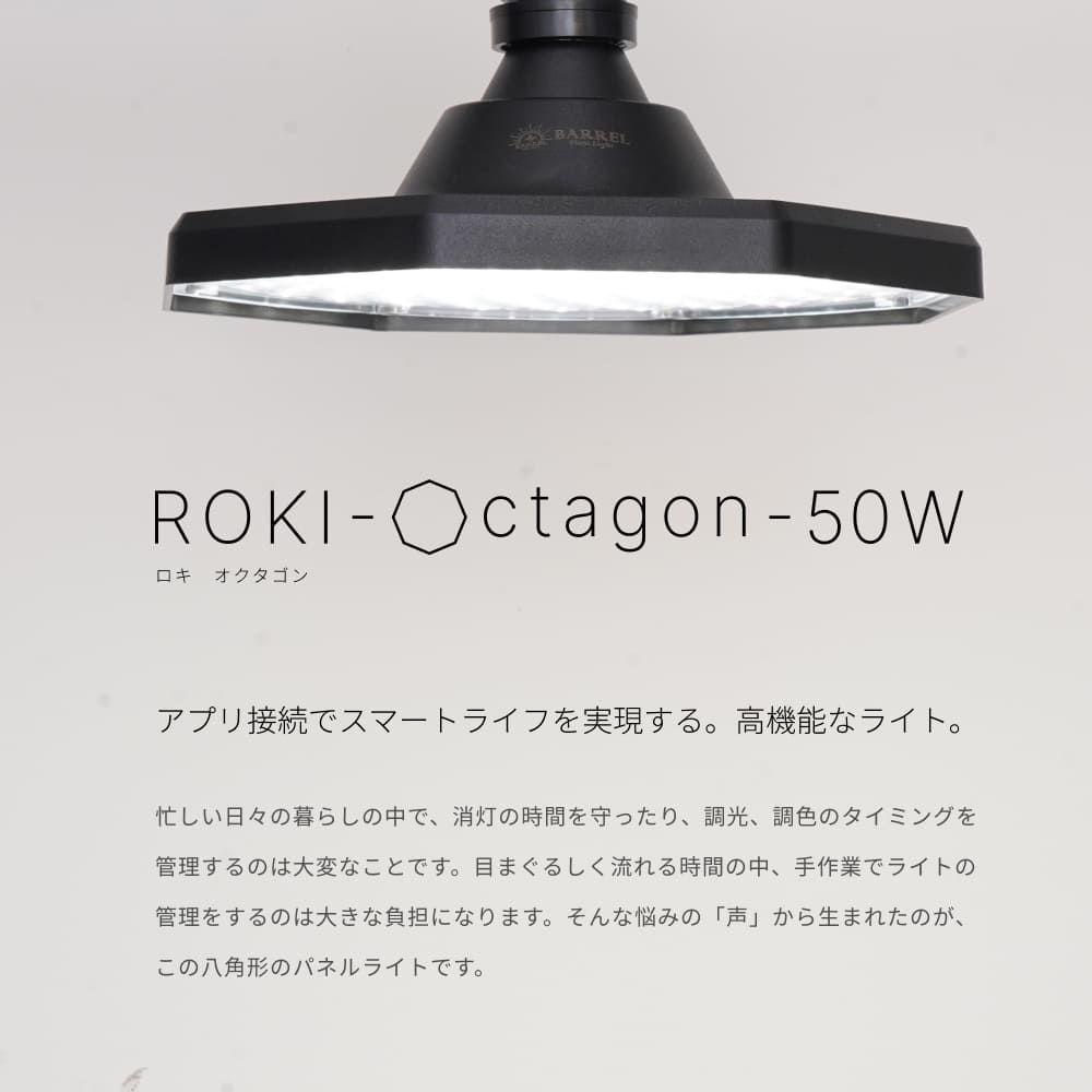 ROKI-OCTAGON-50W ロキ　オクタゴン　ブラック　BARREL 楽天市場】【全国送料無料】BARRELバレルROKI-Octagon-50W-BK LED ロキ