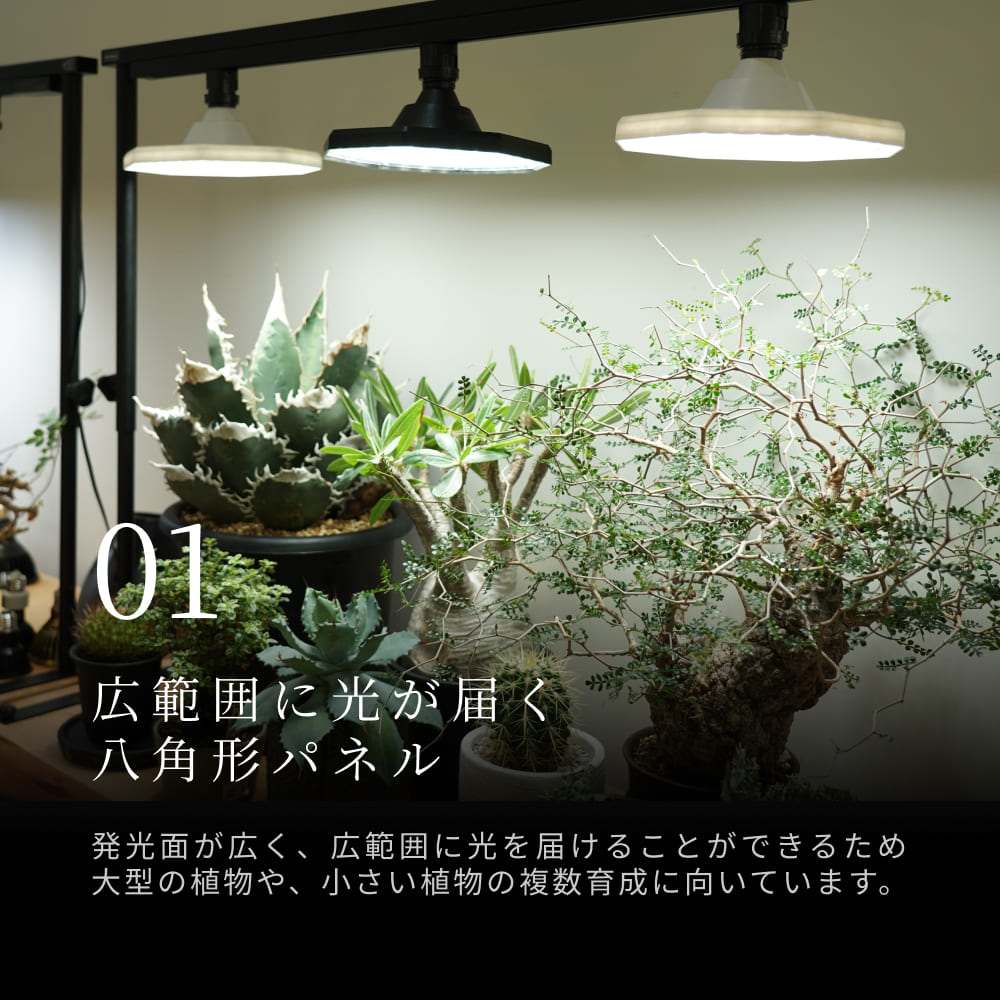 植物育成ライト専門店BARREL｜【ROKI-Octagon-50W】パネル型