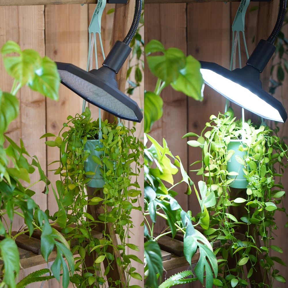 植物育成ライト専門店BARREL｜【ROKI-Octagon-50W】パネル型