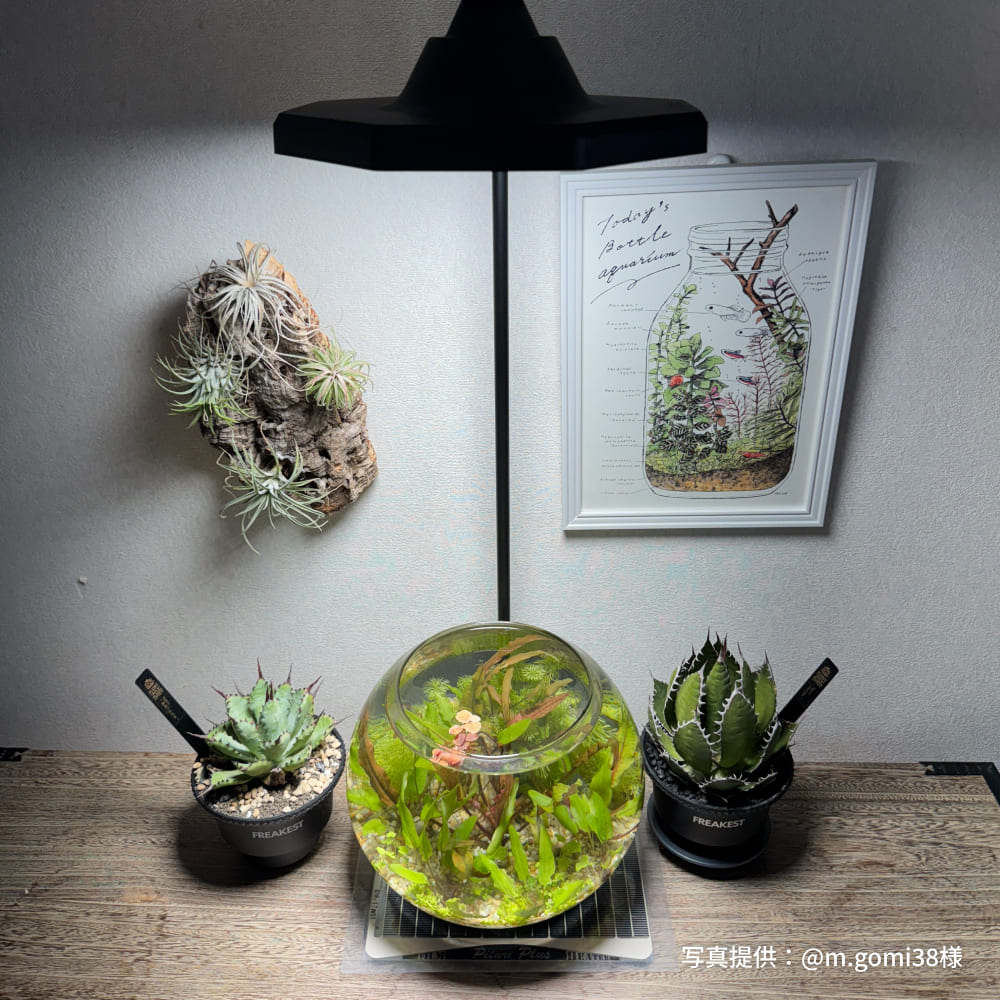 植物育成ライト専門店BARREL｜【ROKI-Octagon-50W】パネル型