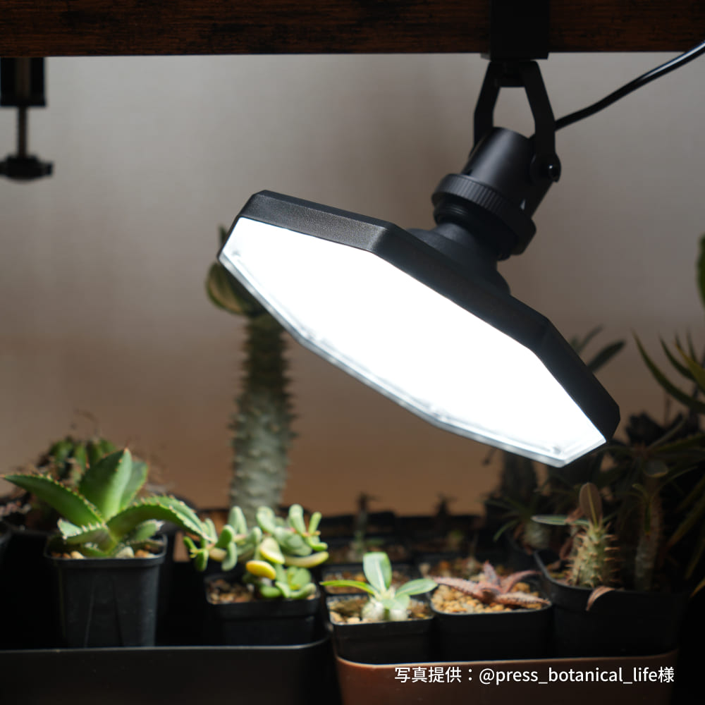 植物育成ライト専門店BARREL｜【ROKI-Octagon-50W】パネル型