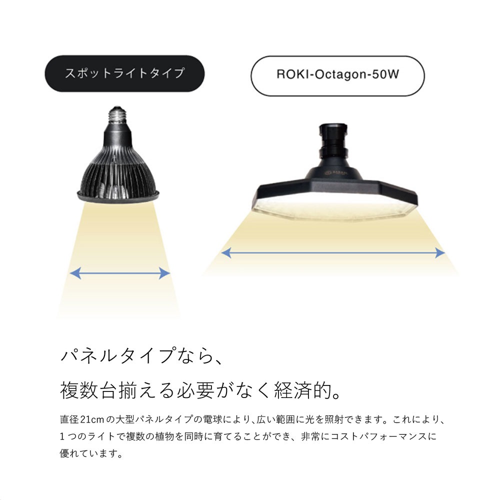 ROKI-Octagon-50Wۡʥ˿ʪ饤 ѥͥ뷿 ¿ǽ ץϢ