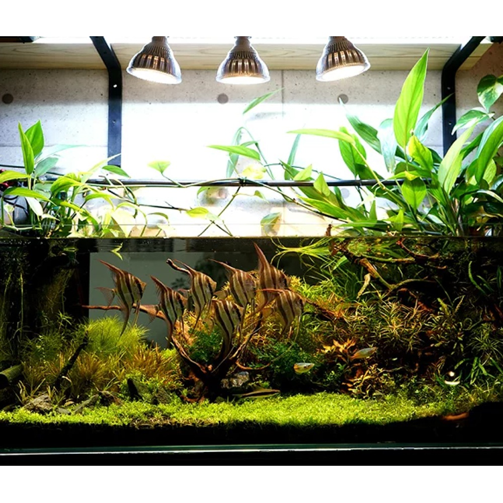 植物育成led Sun w W 白色電球 口径e26 Plantlightw W 観葉植物 植物栽培ライト Sun Series 植物育成ライト 専門店 Barrel 公式サイト