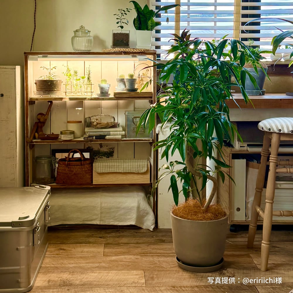 植物育成ライト専門店BARREL｜【SHELF GROW SLIM】バー型