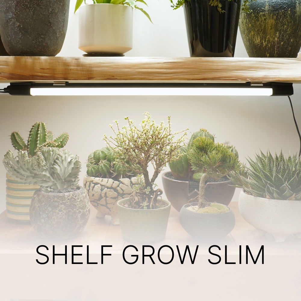 BARREL 植物育成ライト 植物育成ライト専門店BARREL｜【SHELF GROW SLIM】バー型