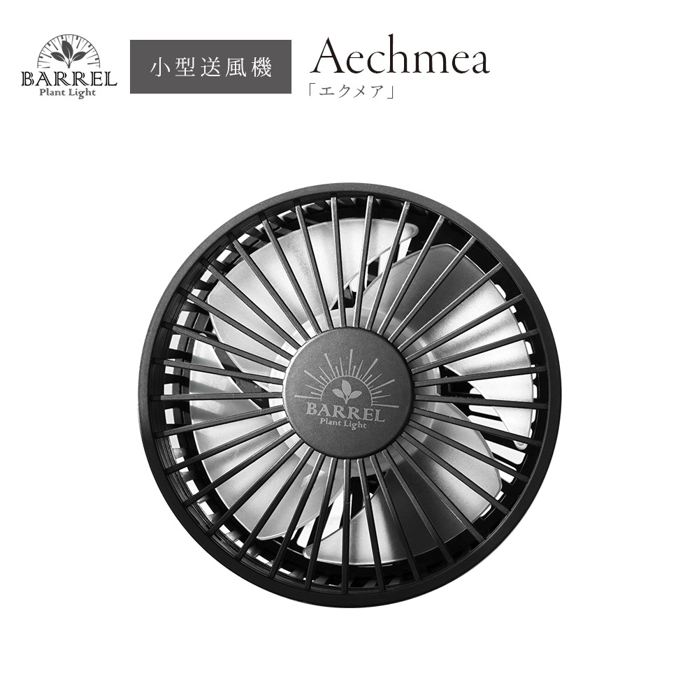 BARREL  ʪ Aechmea ᥢ  Ĵ Ų߷ ѥ ץ 