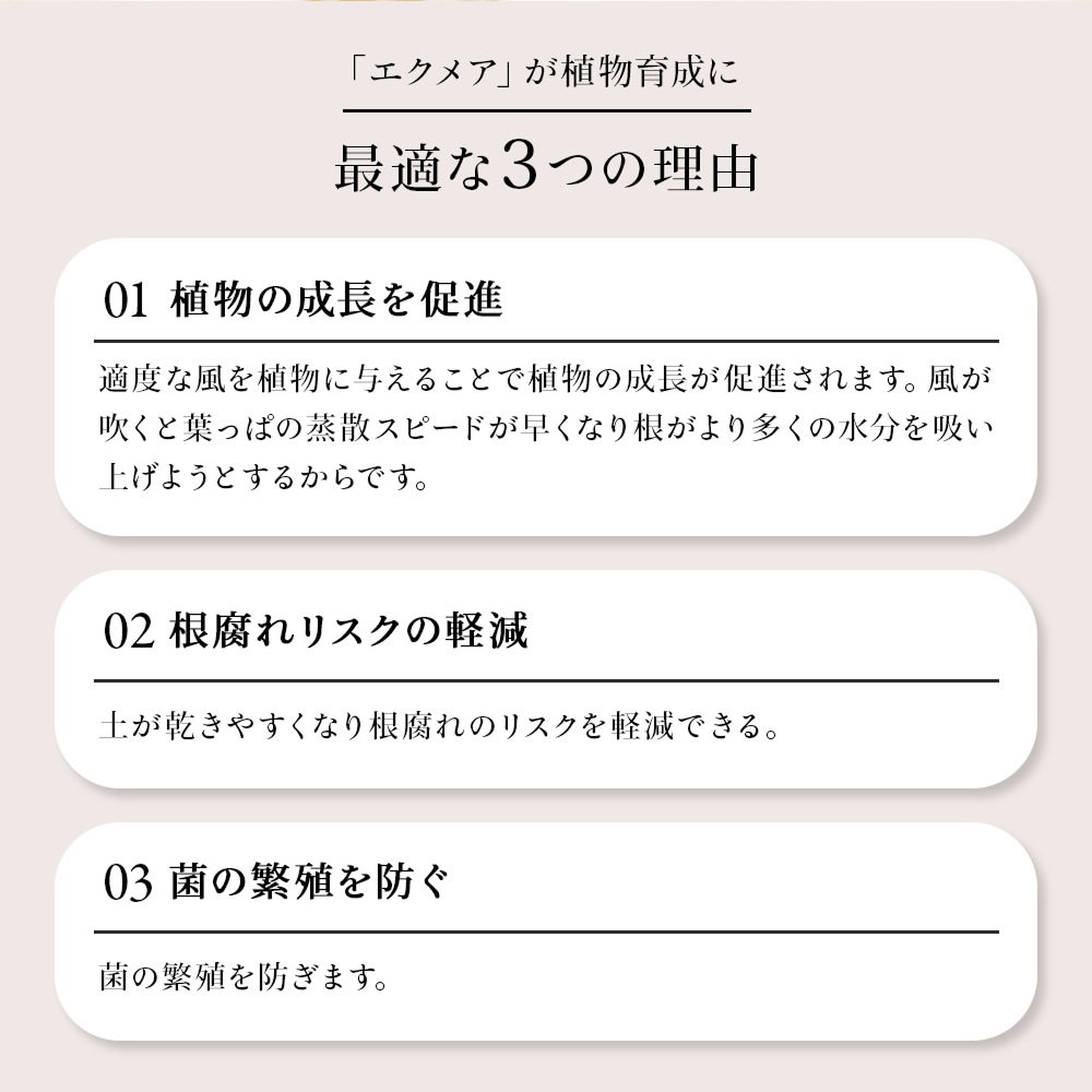 BARREL  ʪ Aechmea ᥢ  Ĵ Ų߷ ѥ ץ 