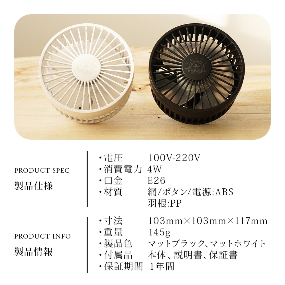 BARREL  ʪ Aechmea ᥢ  Ĵ Ų߷ ѥ ץ 