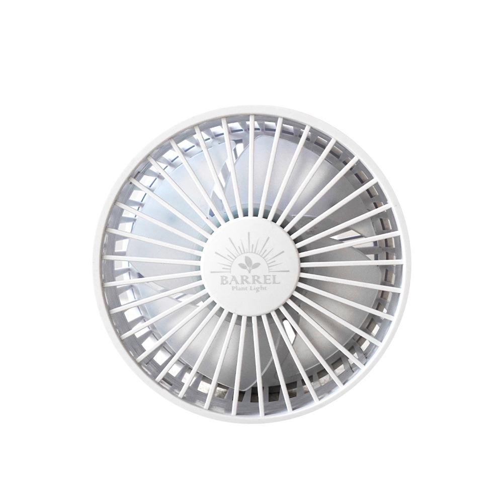 BARREL  ʪ Aechmea ᥢ  Ĵ Ų߷ ѥ ץ 