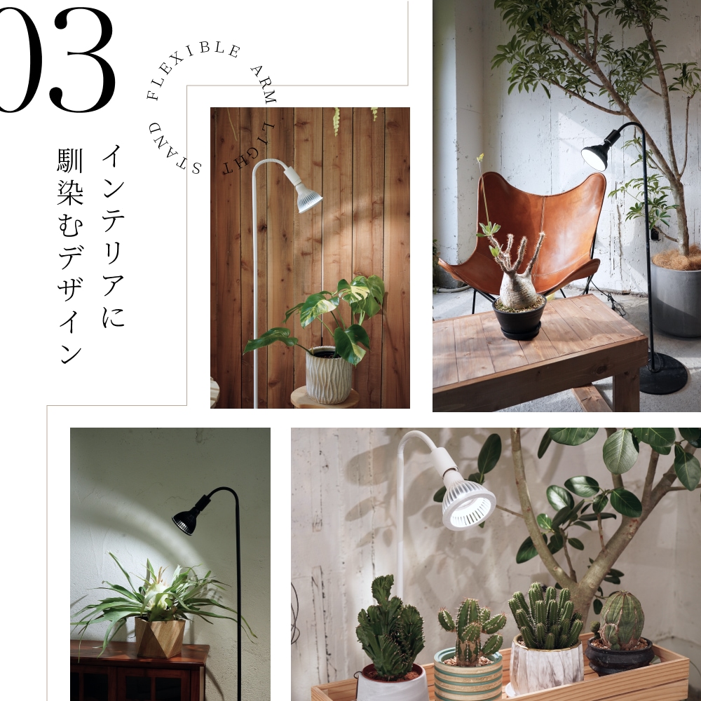 BARRELバレル 植物育成ライト フレキシブルアームライトスタンド ライト 植物育成ライト専門店BARREL｜【フレキシブルアームライト