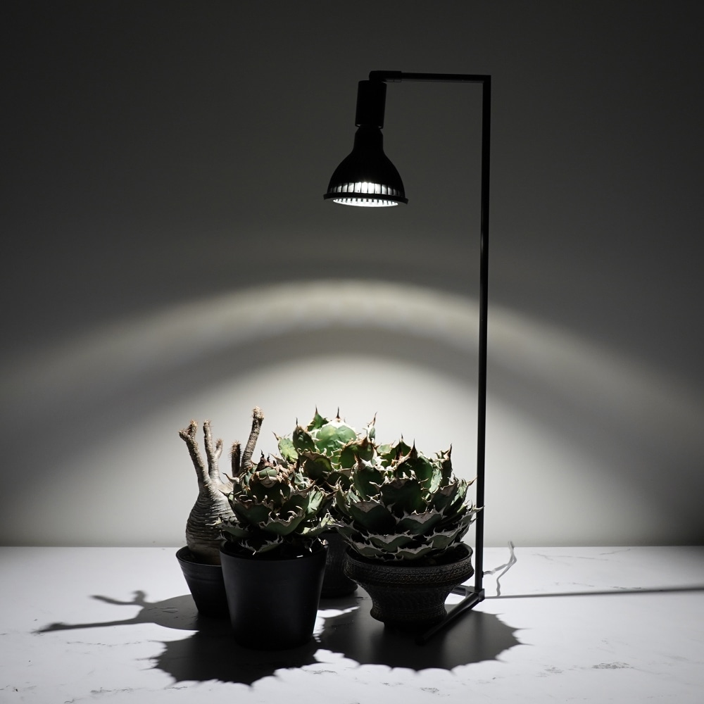 եץ  ֥å ۥ磻ȡʪ饤 Ĵǽ Floor Lamp STANDAkond
