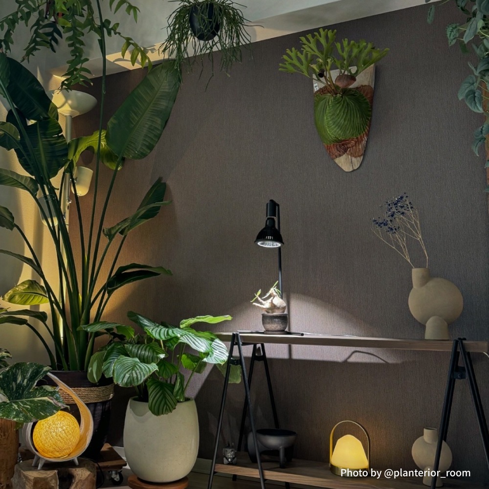 植物育成ライト専門店BARREL｜【Akond】フロアーランプスタンド