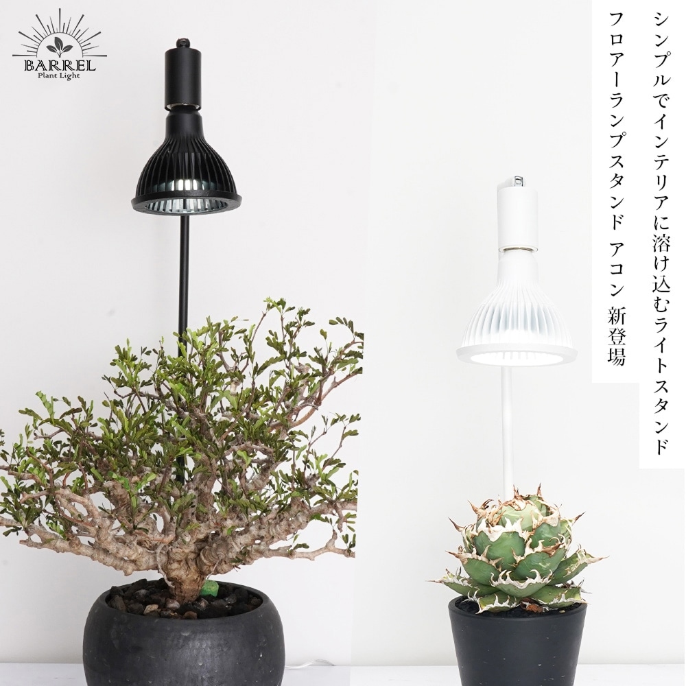 եץ  ֥å ۥ磻ȡʪ饤 Ĵǽ Floor Lamp STANDAkond