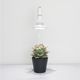 եץ  ֥å ۥ磻ȡʪ饤 Ĵǽ Floor Lamp STANDAkond