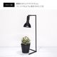 եץ  ֥å ۥ磻ȡʪ饤 Ĵǽ Floor Lamp STANDAkond