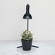 եץ  ֥å ۥ磻ȡʪ饤 Ĵǽ Floor Lamp STANDAkond