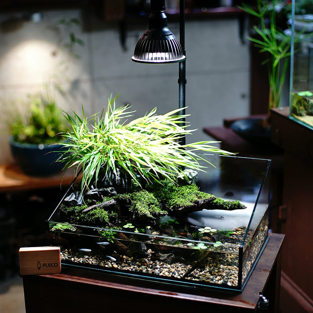 アマテラス LED-10W 植物育成ライト クリップ付き　2個セット 植物育成ライト専門店BARREL｜【AMATERAS 10W】E26電球