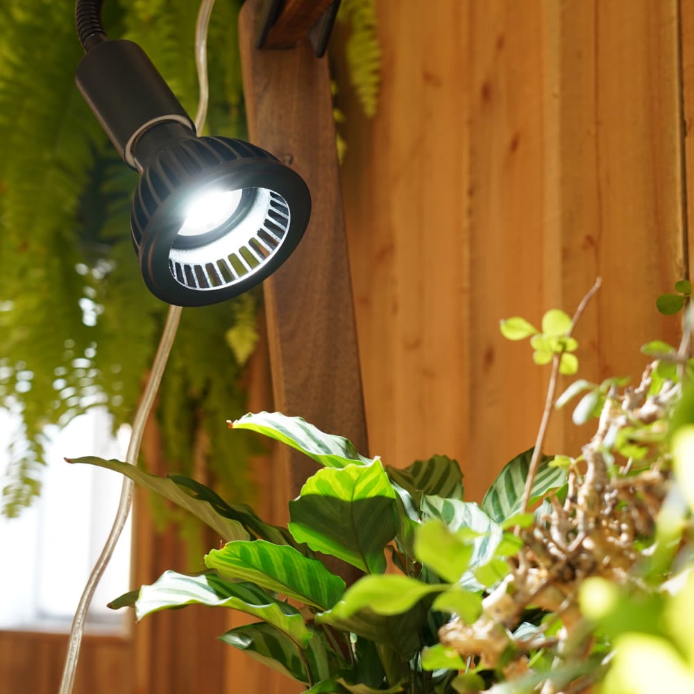 植物育成ライト専門店BARREL｜【AMATERAS 10W】E26電球