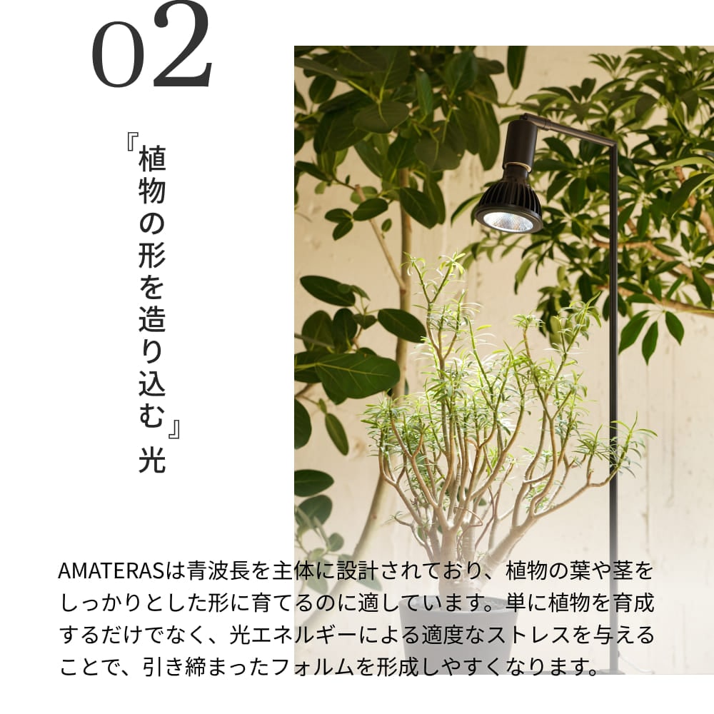 植物育成ライト専門店BARREL｜【AMATERAS 10W】E26電球