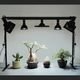 Clamp Lamp Socket<br>ץץå<br>Ĵǽɰη