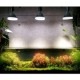 ڿʪLED SUN-18WE26 PLANT CLIP-A åŵ E26PlantLight18W˴տʪ ʪݥ饤