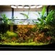 ڿʪLED SUN-18WE26 PLANT CLIP-A åŵ E26PlantLight18W˴տʪ ʪݥ饤