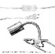 ڿʪLED SUN-18WE26 PLANT CLIP-A åŵ E26PlantLight18W˴տʪ ʪݥ饤