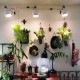ڿʪLED SUN-18WE26 PLANT CLIP-A åŵ E26PlantLight18W˴տʪ ʪݥ饤