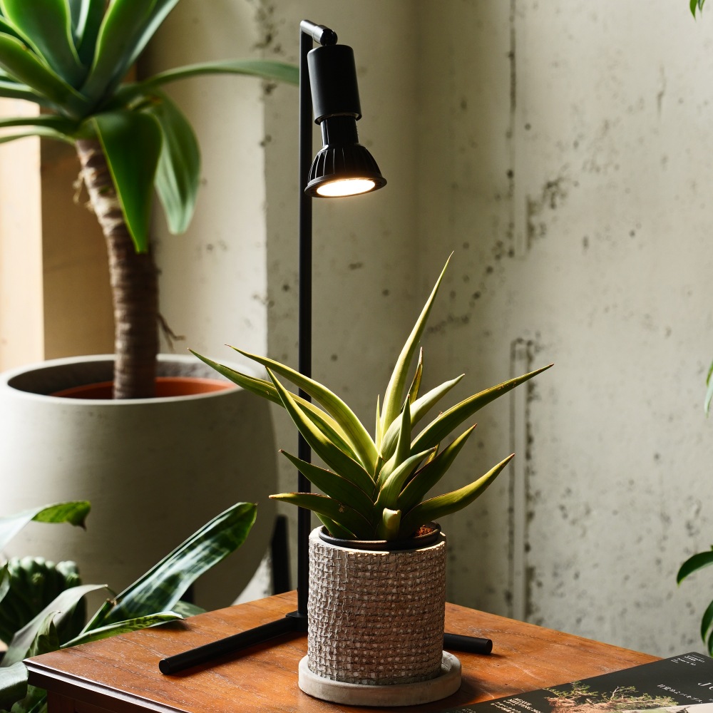 MINI GROW SUN-9WŵE26þʸʪ֤ÿ١3000K/4000K