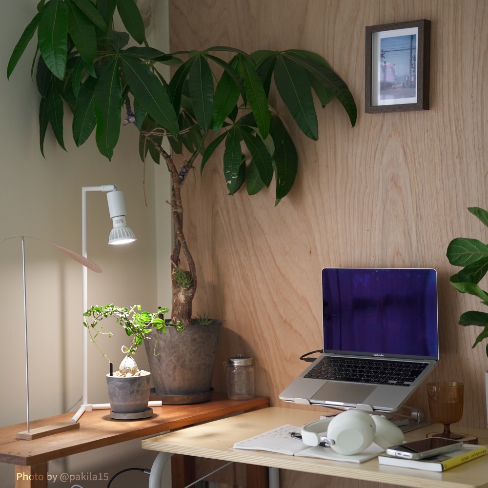 MINI GROW SUN-9WŵE26þʸʪ֤ÿ١3000K/4000K