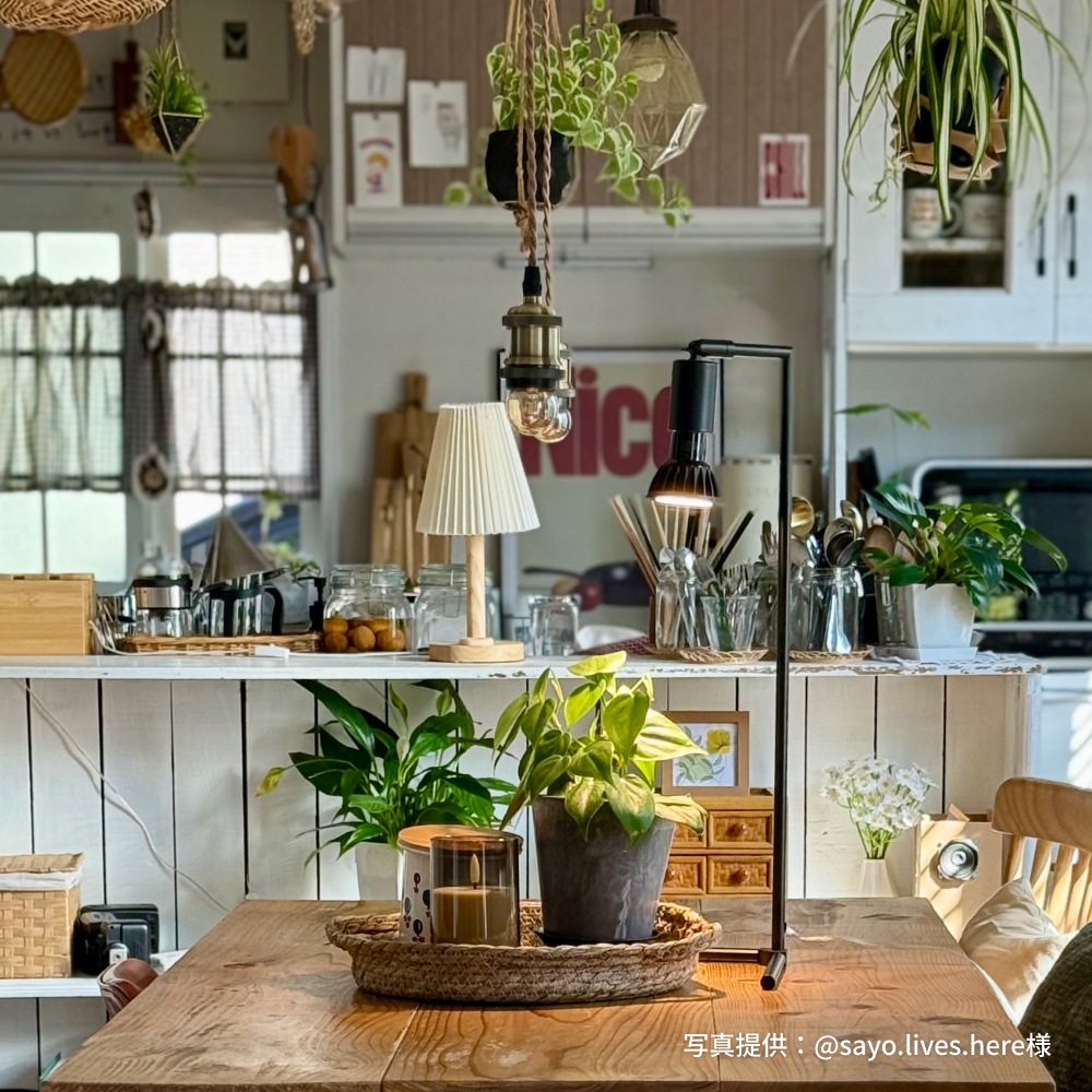 ��MINI GROW SUN-9W���ŵ�E26�þ����ʸ�������ʪ����֤��������ÿ����١�3000K/4000K