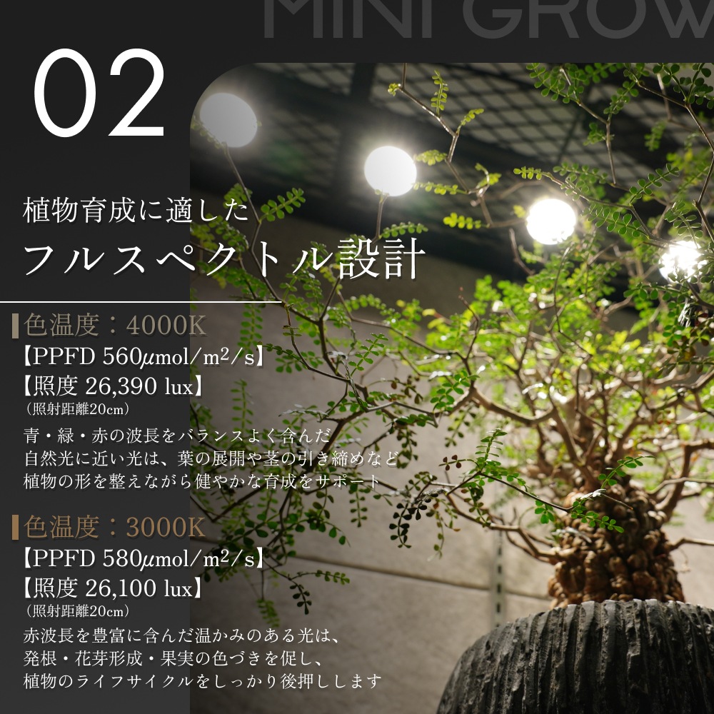 MINI GROW SUN-9WŵE26þʸʪ֤ÿ١3000K/4000K